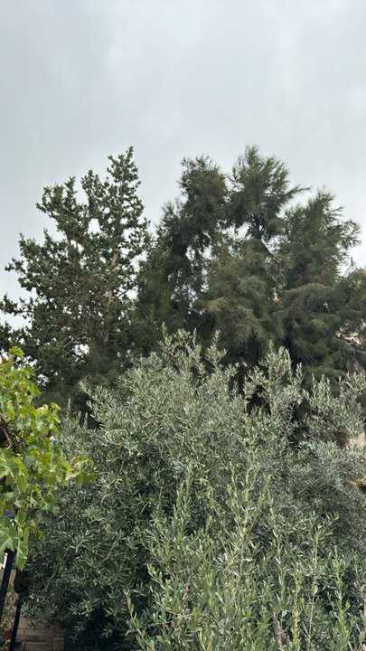 My Crowdsourcing Posts