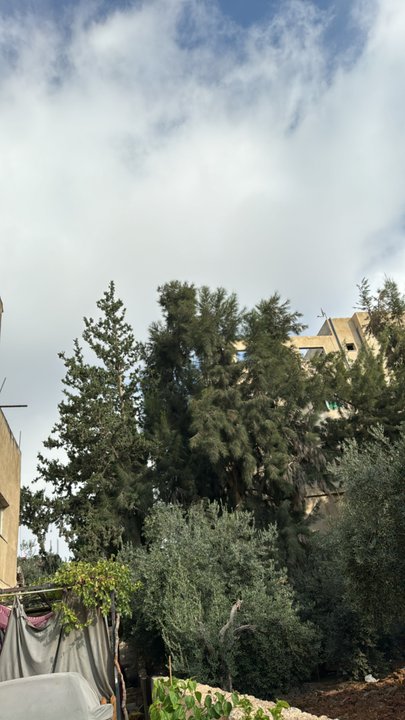 My Crowdsourcing Posts