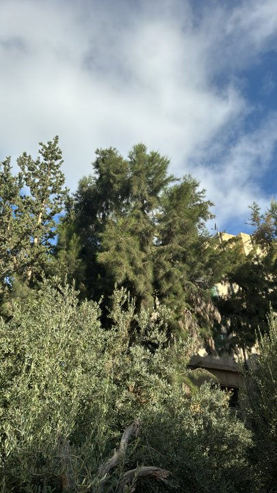 My Crowdsourcing Posts