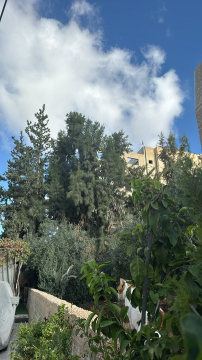 My Crowdsourcing Posts