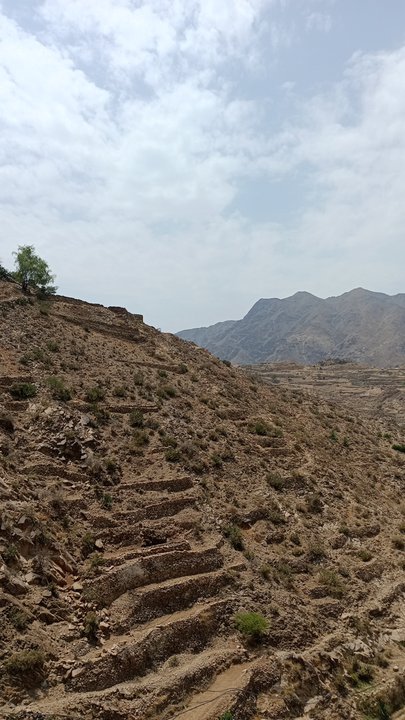 مشاركاتي في أنت الراصد