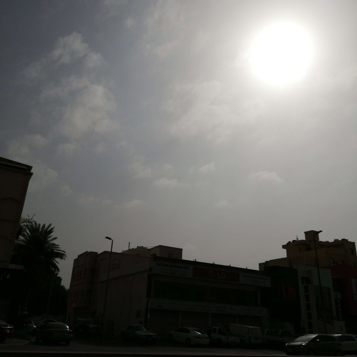 مشاركاتي في أنت الراصد