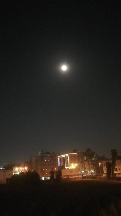 مشاركاتي في أنت الراصد