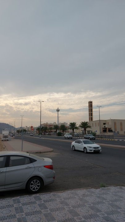 مشاركاتي في أنت الراصد