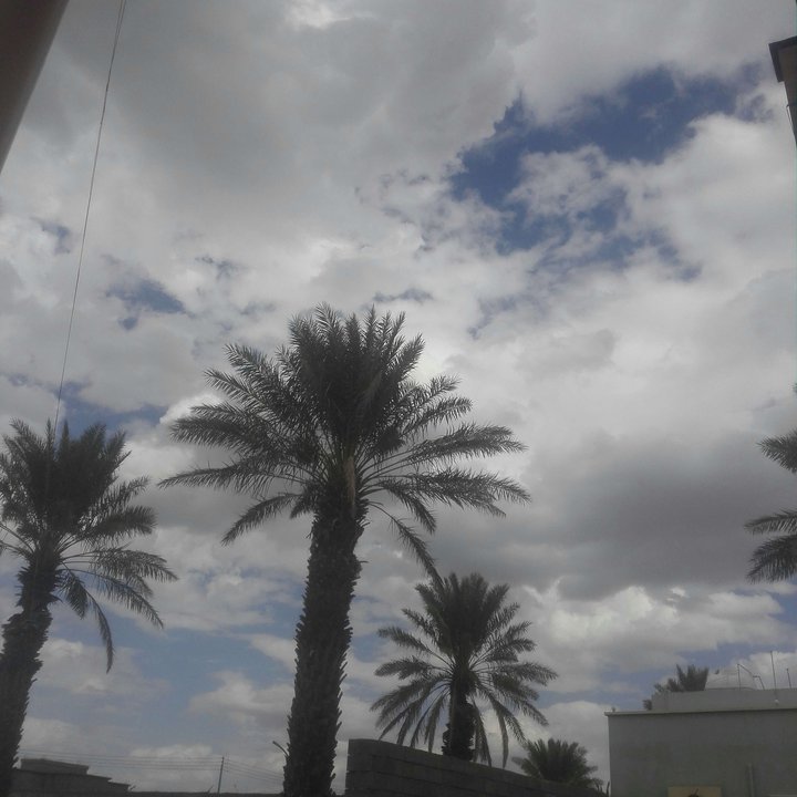 My Crowdsourcing Posts