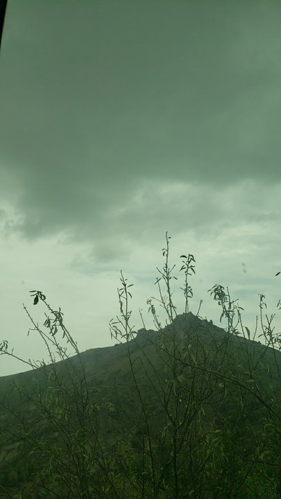 مشاركاتي في أنت الراصد