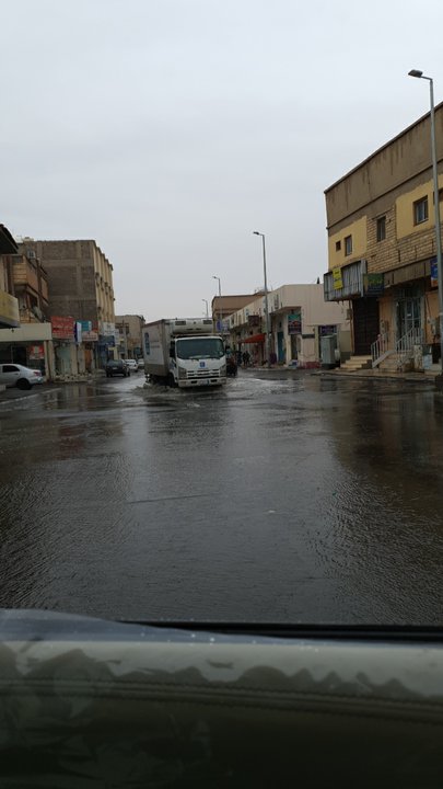 مشاركاتي في أنت الراصد