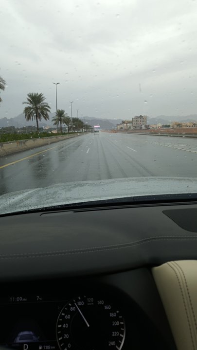 مشاركاتي في أنت الراصد