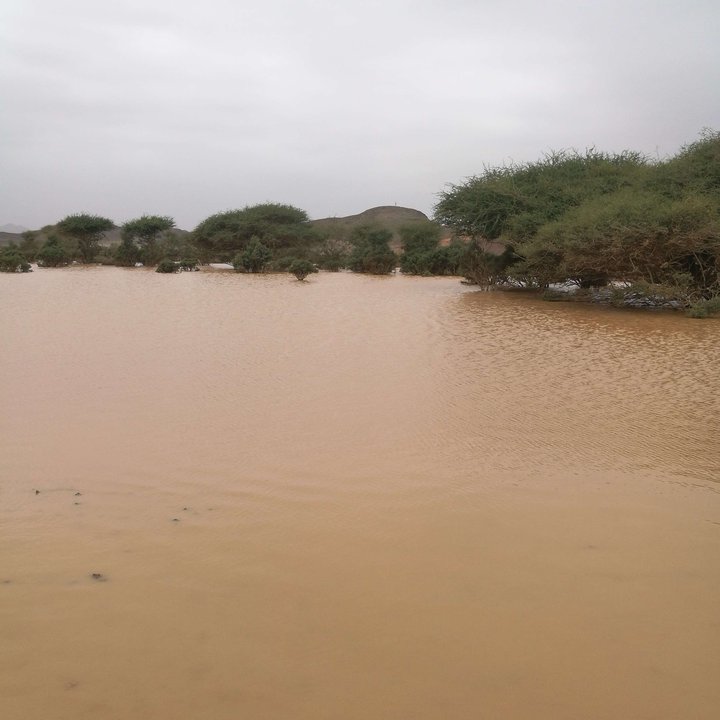 My Crowdsourcing Posts