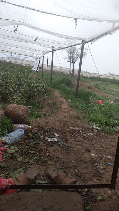 مشاركاتي في أنت الراصد