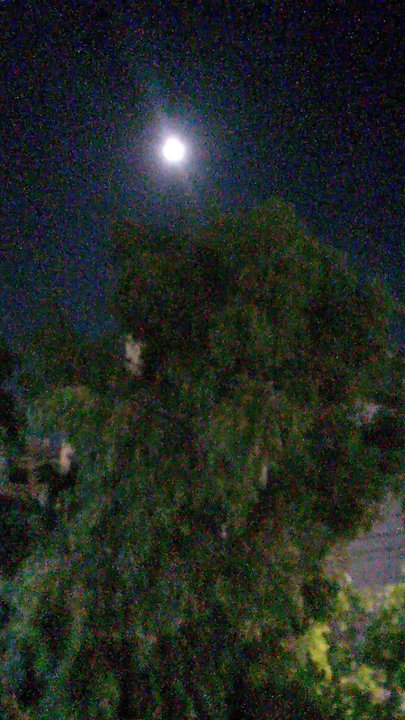 My Crowdsourcing Posts