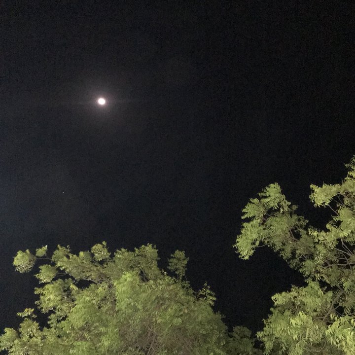 My Crowdsourcing Posts