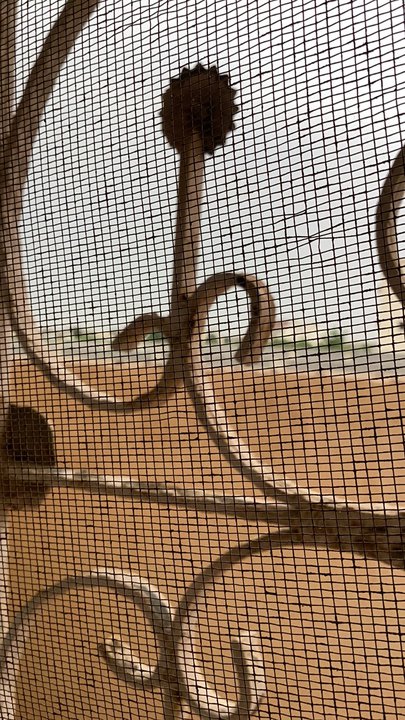 Mes publications Crowdsourcing