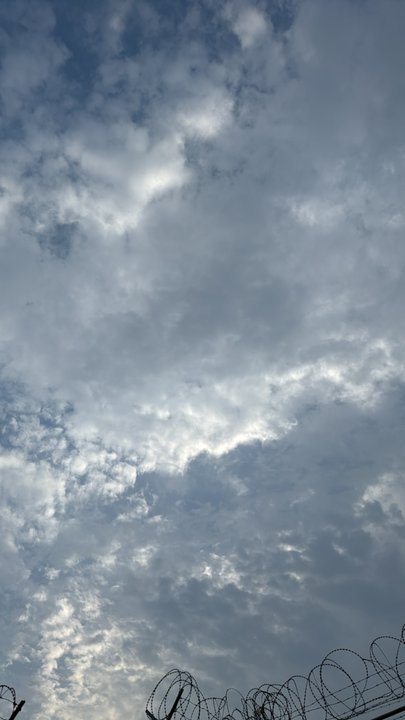 Mes publications Crowdsourcing