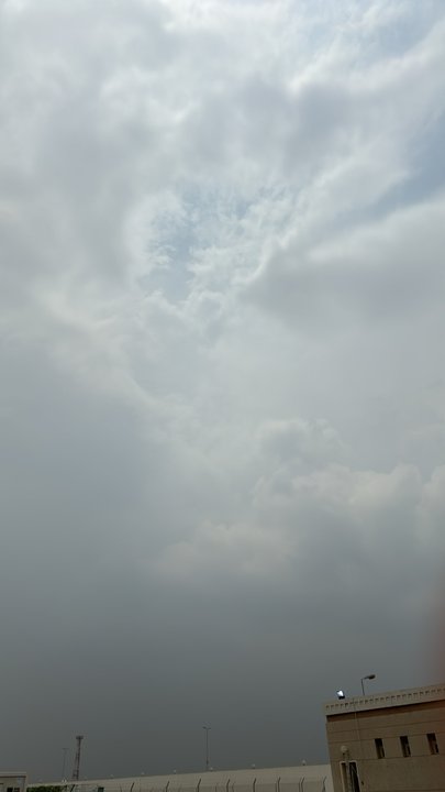 مشاركاتي في أنت الراصد