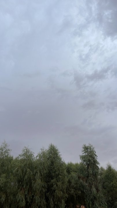 مشاركاتي في أنت الراصد