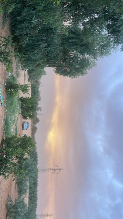 مشاركاتي في أنت الراصد