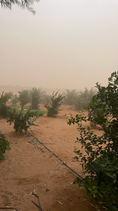 مشاركاتي في أنت الراصد