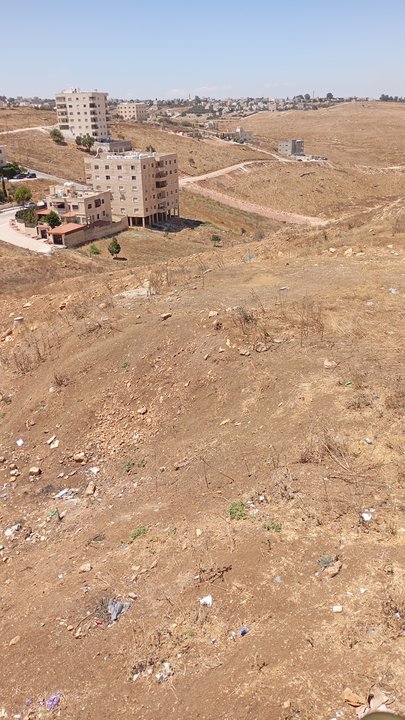 My Crowdsourcing Posts