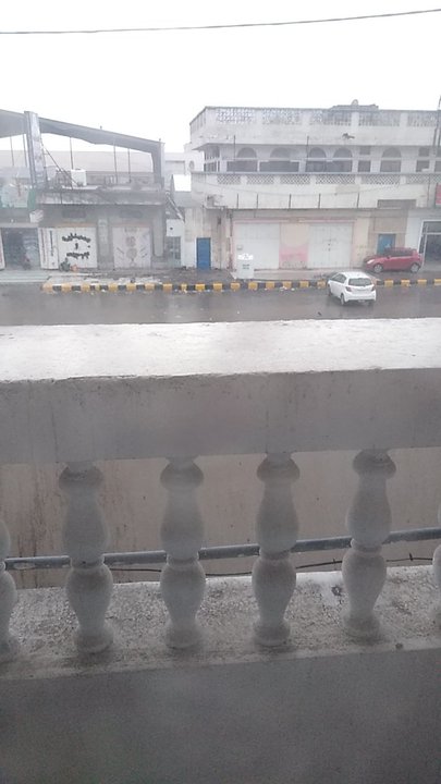 مشاركاتي في أنت الراصد