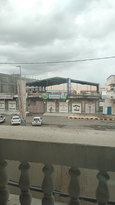 مشاركاتي في أنت الراصد