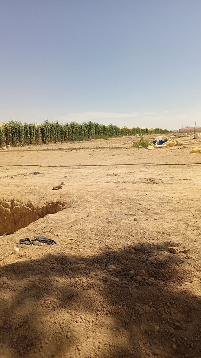 My Crowdsourcing Posts