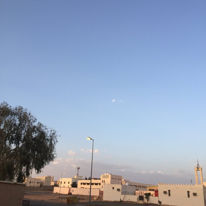 مشاركاتي في أنت الراصد