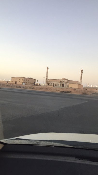 مشاركاتي في أنت الراصد