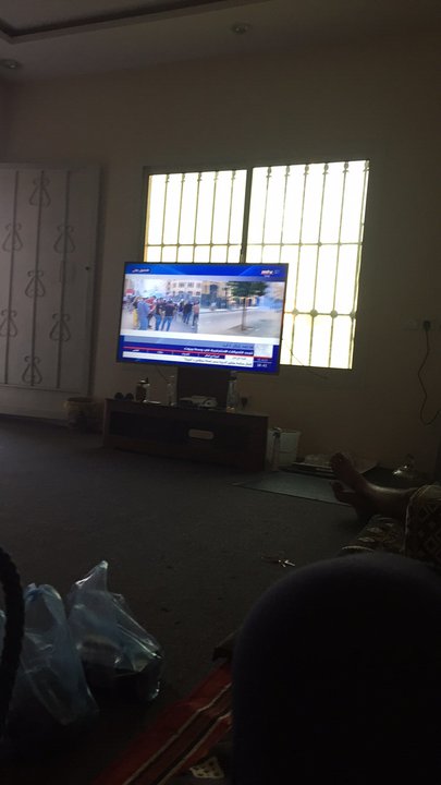 مشاركاتي في أنت الراصد