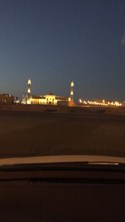 مشاركاتي في أنت الراصد