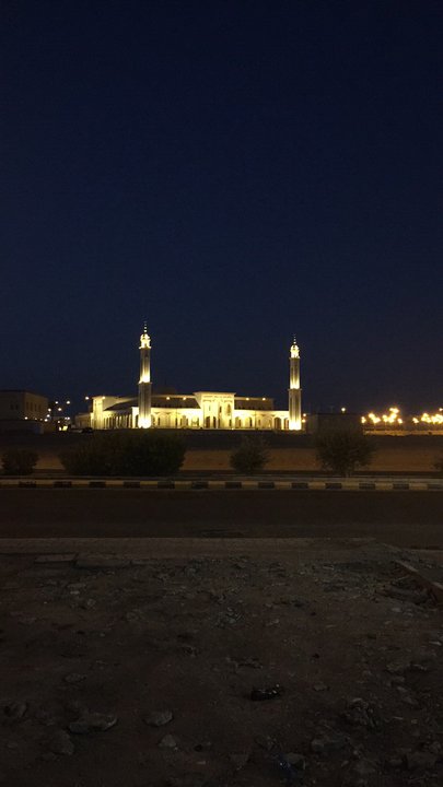 مشاركاتي في أنت الراصد