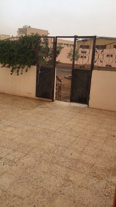 مشاركاتي في أنت الراصد