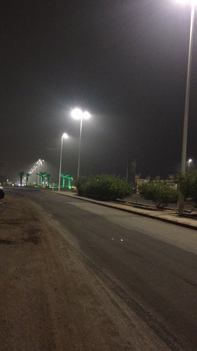 مشاركاتي في أنت الراصد