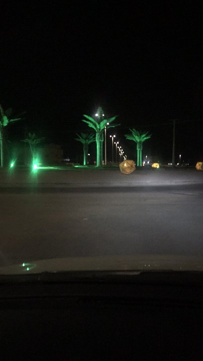 مشاركاتي في أنت الراصد