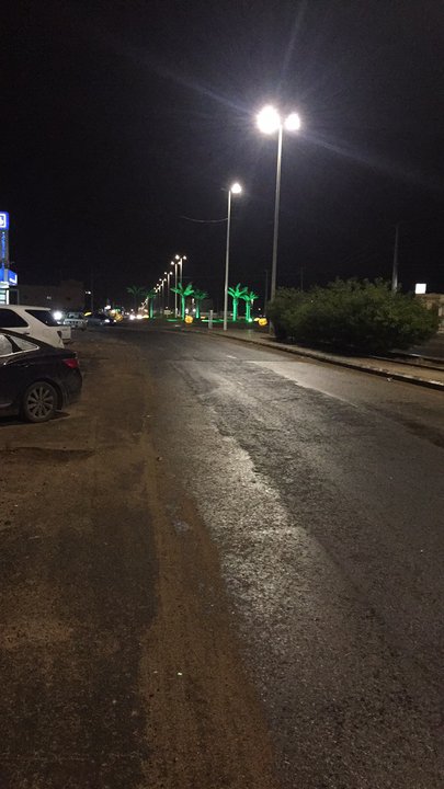 مشاركاتي في أنت الراصد