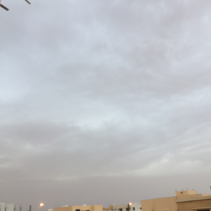 مشاركاتي في أنت الراصد