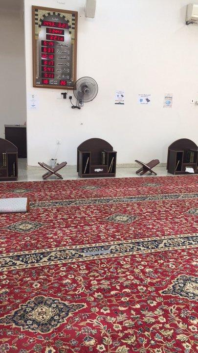 مشاركاتي في أنت الراصد