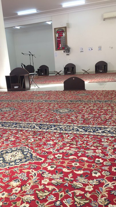 مشاركاتي في أنت الراصد