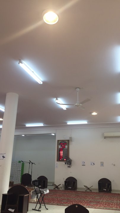 مشاركاتي في أنت الراصد