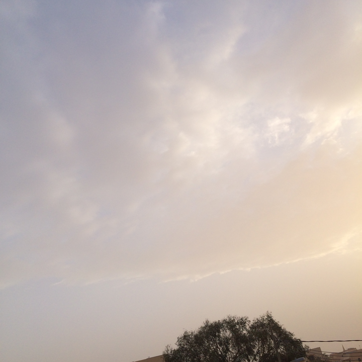 مشاركاتي في أنت الراصد