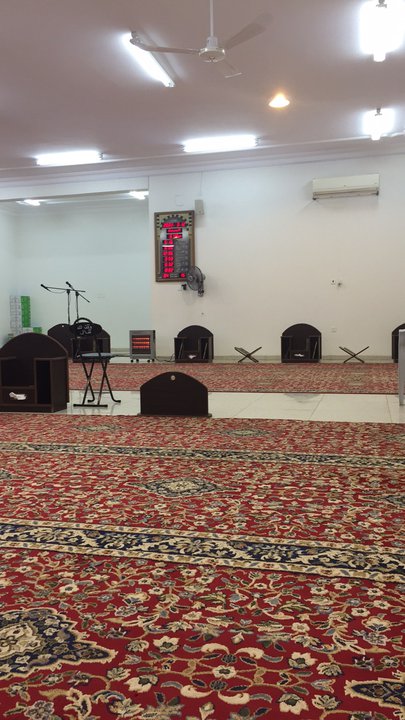 مشاركاتي في أنت الراصد