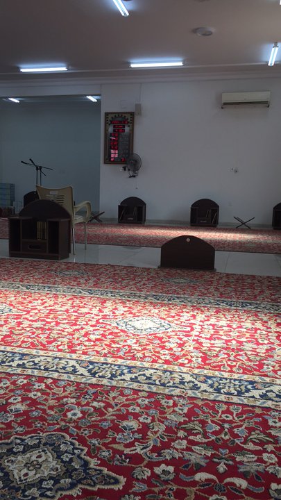 مشاركاتي في أنت الراصد