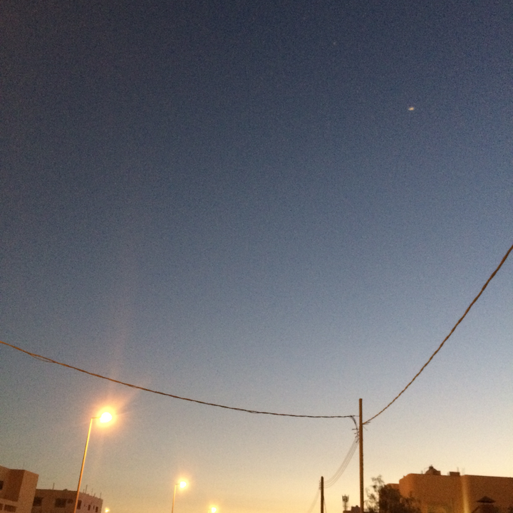 مشاركاتي في أنت الراصد