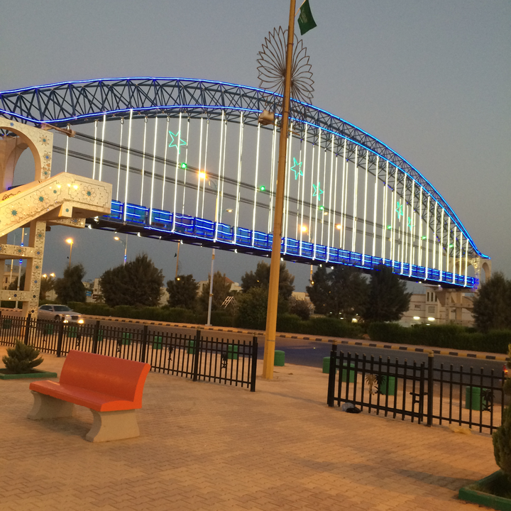 مشاركاتي في أنت الراصد