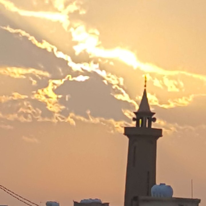 مشاركاتي في أنت الراصد