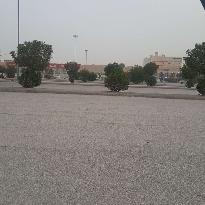 مشاركاتي في أنت الراصد