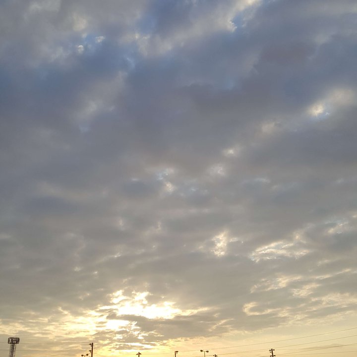 مشاركاتي في أنت الراصد