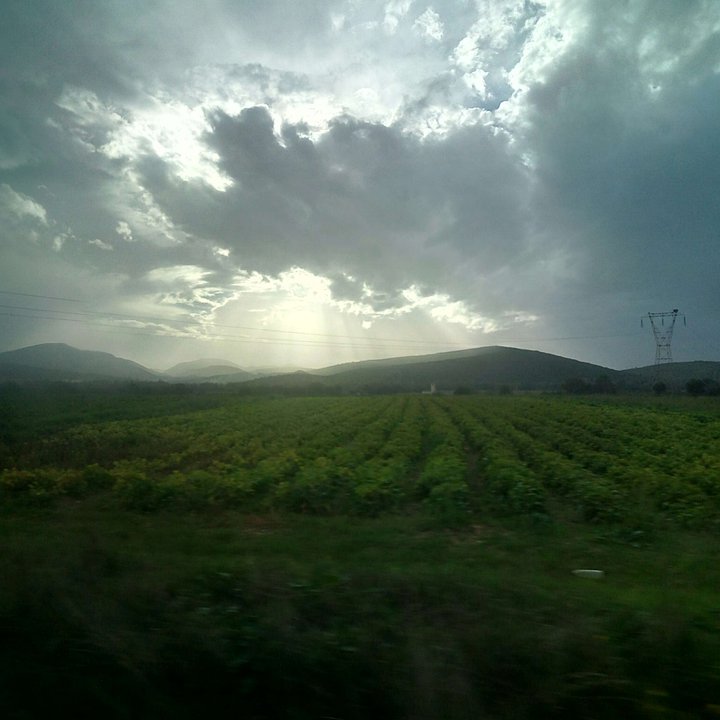 My Crowdsourcing Posts