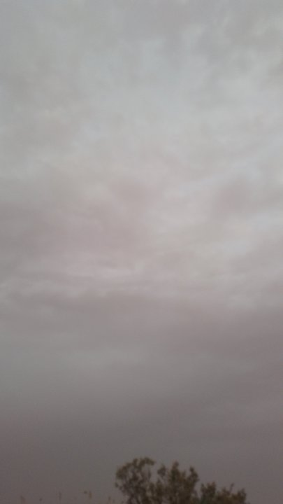 مشاركاتي في أنت الراصد