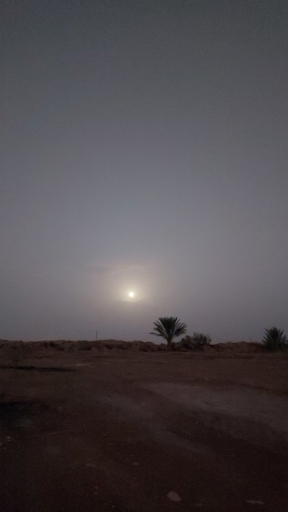 مشاركاتي في أنت الراصد